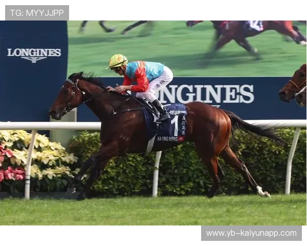 克罗地亚传统马术赛事“Sinjska Alka”在2024年成功举办，吸引众多观众参与。